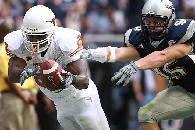 维护的花卉 维护的花卉