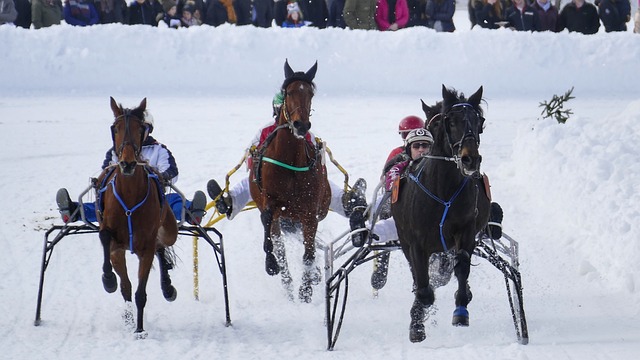 整发展思路 整发展思路