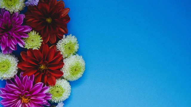 英格蘭領隊杜曹：希望英軍能運用英超速度和力量.