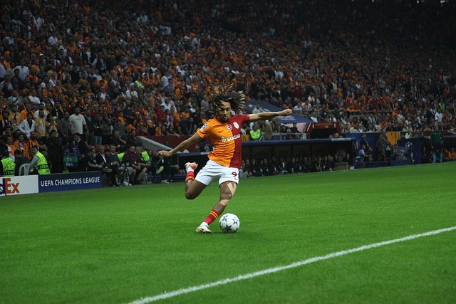 战胜维罗纳 战胜维罗纳