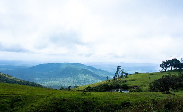 曝荷蘭足協與範加爾簽約一年半 將率荷蘭隊征戰卡塔爾世界杯.