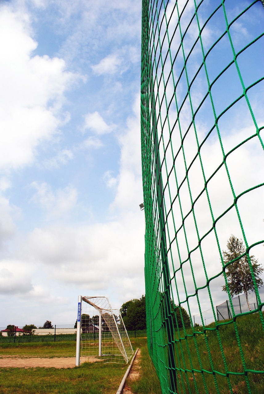 詹姆斯的爆 詹姆斯的爆