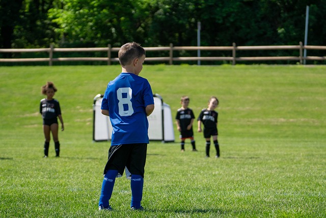 实力和竞争 实力和竞争