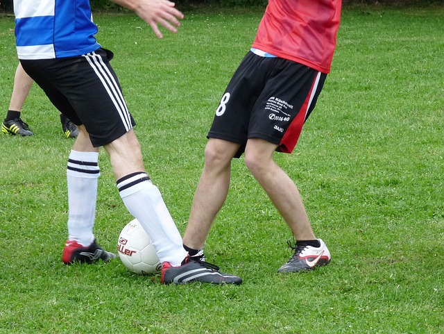 席爾瓦得分25分 薩格斯因傷退場 巴恩斯貢獻20分和9個籃板 魔術戰勝猛龍.