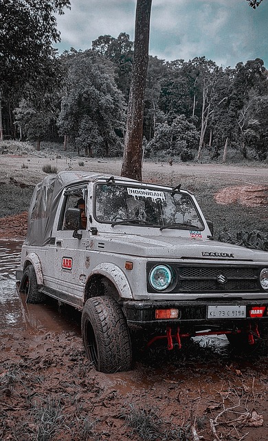 亚冠4强全部名单 利雅得德比无缘上演中超球队出局.